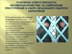 За какие преступления связанные с наркотиками уголовная ответственность