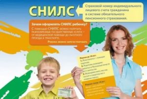 Зачем Ходят по Квартирам и Спрашивают Снилс