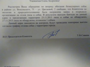 Заявление к главе о бродячих собаках