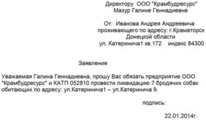 Заявление к главе о бродячих собаках