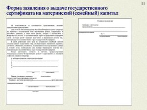 Заявление на использование материнского капитала образец бланк