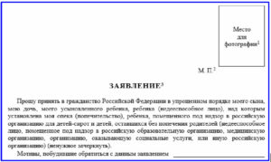 Заявление на нря бланк скачать