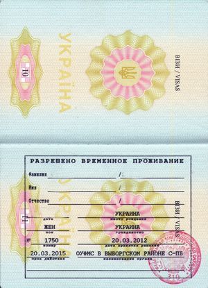 Заявление на рвп: как заполнить бланк этого документа