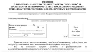 Заявление на вид жительство дети