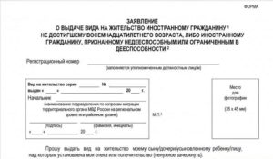 Заявление на вид жительство дети