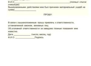 Заявление о краже документов в полицию образец от юридического лица