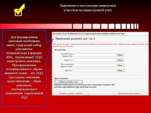 Заявление о постановке на учет арендуемых земельных участков