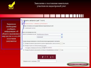 Заявление о постановке на учет арендуемых земельных участков