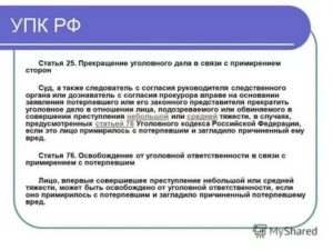 Заявление о примирении сторон по уголовному делу по ст 264 УК РФ