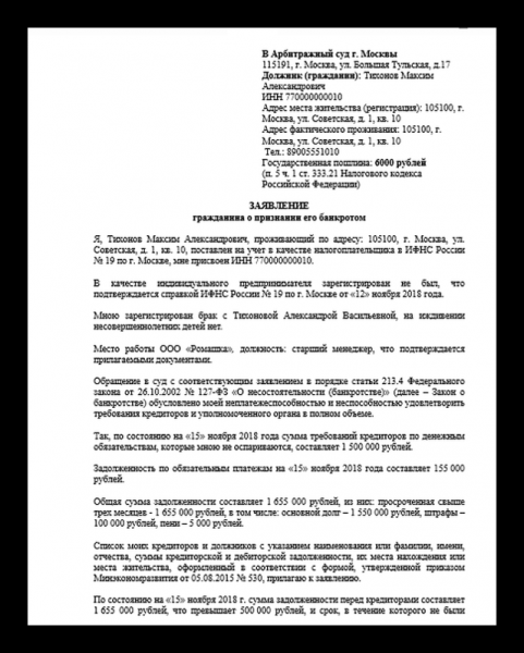 Заявление о признании должника физического лица банкротом: образец 2019 года