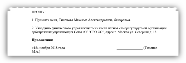 Заявление о признании должника физического лица банкротом: образец 2019 года