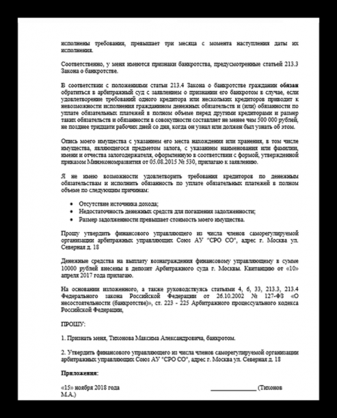 Заявление о признании должника физического лица банкротом: образец 2019 года