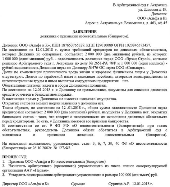 Заявление о признании должника физического лица банкротом: образец 2019 года