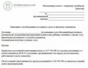 Заявление о возбуждении уголовного дела за неуплату алиментов образец в суд