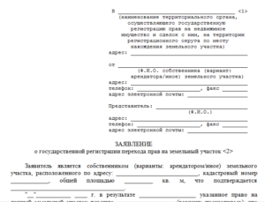 Заявление о запрете регистрации долей в налоговую