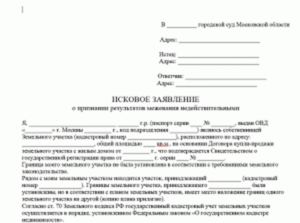 Заявление об определении границ земельного участка