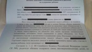 Заявление об уменьшении исполнительского сбора срок подачи заявления