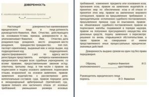 Заявление полицию от юридического лица может подать доверенность