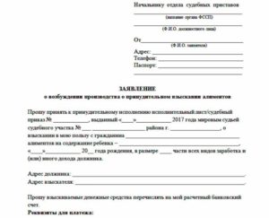 Заявление приставам о проделанной работе