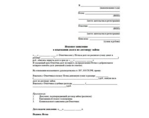 Заявление в банк от физического лица о взыскании долга