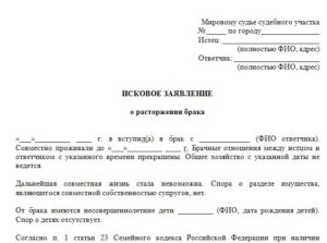 Заявление в мировой суд о расторжении брака образец