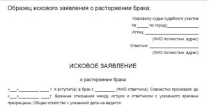 Заявление в мировой суд о расторжении брака образец