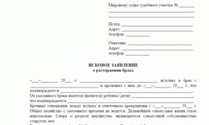 Заявление в мировой суд о расторжении брака образец