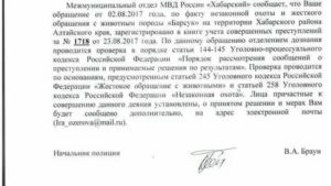 Заявление в полицию на жестокое обращение с ребенком образец