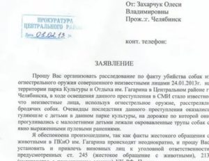 Заявление в полицию на жестокое обращение с ребенком образец