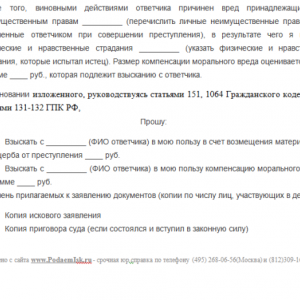 Заявление в полицию о мошенничестве от физического лица: образец, порядок подачи