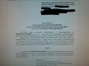 Заявление в полицию о нарушении правил дорожного движения