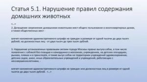 Заявление в полицию о нарушении правил содержания домашних животных