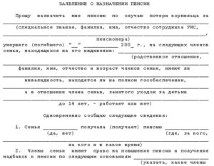 Заявление в суд о назначении пенсии по потере кормильца супруга