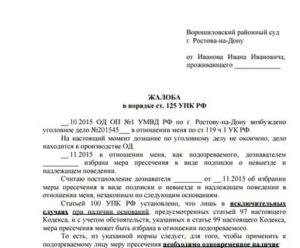 Заявление в суд о передаче дела в прокуратуру