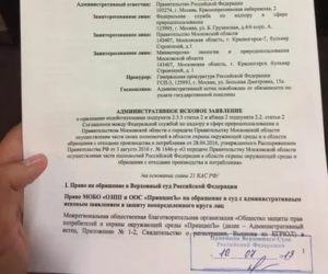 Заявление в суд о прекращении об административного надзора судебное решение