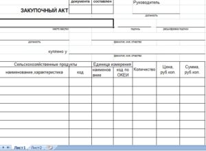 Закупочный акт бланк