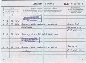 Запись об Увольнении Внесена Ошибочно Как Исправить