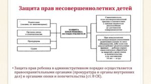 Защита прав несовершеннолетних детей органами внутренних дел