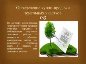 Земельный Участок Как Объект Договора Купли Продажи