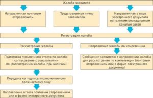 Жалоба, апелляционная, в фонд социального страхования
