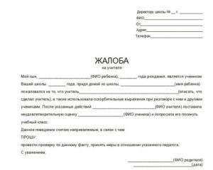 Жалоба директору оу на поведение учащегося
