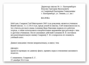 Жалоба директору школы от родителей образец