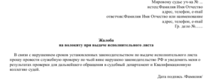 Жалоба на затягивание изготовления решения суда образец