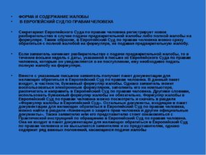 Жалоба в Европейский суд по правам человека образец бланк
