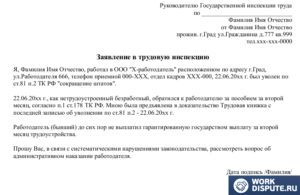 Жалоба в трудовую инспекцию на работодателя после увольнения за полный расчет