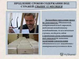 Жалобы адвоката на продление срока содержания под стражей образец