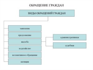 ЖАЛОБЫ И ОБРАЩЕНИЯ
