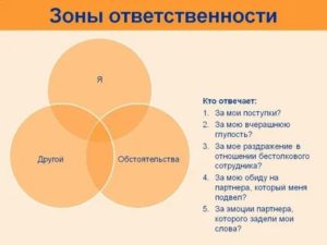 Зона Ответственности Сотрудника Что Это